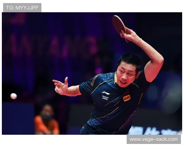 樊振东与 “人民艺术家” 许昕对练:球台三米外的乒乓美学碰撞 樊振东与 “人民艺术家” 许昕对练:球台三米外的乒乓美学碰撞